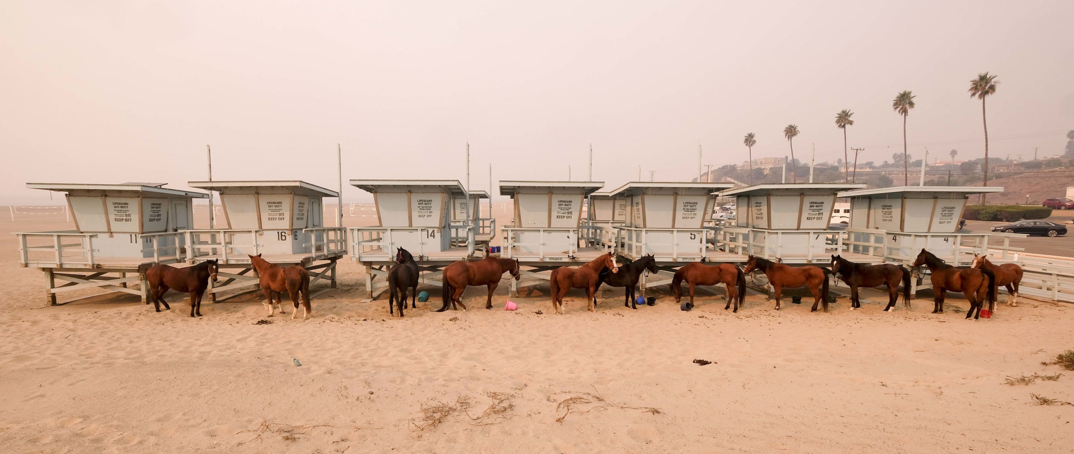 California Wildfires
